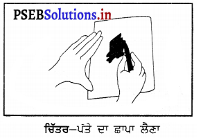 PSEB 6th Class Science Solutions Chapter 7 ਪੌਦਿਆਂ ਨੂੰ ਜਾਣੋ 10