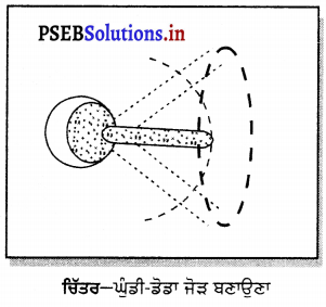 PSEB 6th Class Science Solutions Chapter 8 ਸਰੀਰ ਵਿੱਚ ਗਤੀ 17