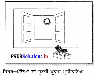 PSEB 6th Class Science Solutions Chapter 9 ਸਜੀਵ ਅਤੇ ਉਹਨਾਂ ਦਾ ਚੌਗਿਰਦਾ 9