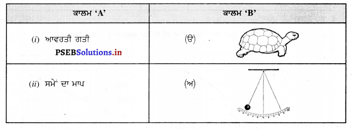 PSEB 7th Class Science Solutions Chapter 13 ਗਤੀ ਅਤੇ ਸਮਾਂ – PSEB Solutions