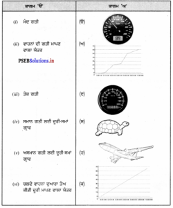 PSEB 7th Class Science Solutions Chapter 13 ਗਤੀ ਅਤੇ ਸਮਾਂ – PSEB Solutions