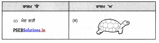 PSEB 7th Class Science Solutions Chapter 13 ਗਤੀ ਅਤੇ ਸਮਾਂ – PSEB Solutions