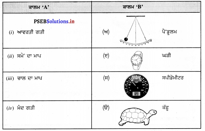 PSEB 7th Class Science Solutions Chapter 13 ਗਤੀ ਅਤੇ ਸਮਾਂ – PSEB Solutions