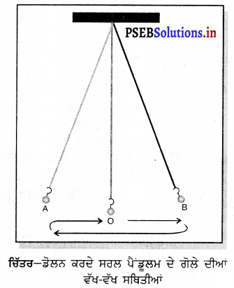 PSEB 7th Class Science Solutions Chapter 13 ਗਤੀ ਅਤੇ ਸਮਾਂ – PSEB Solutions