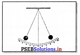 PSEB 7th Class Science Solutions Chapter 13 ਗਤੀ ਅਤੇ ਸਮਾਂ – PSEB Solutions