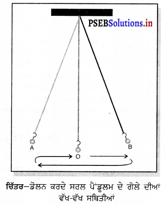 PSEB 7th Class Science Solutions Chapter 13 ਗਤੀ ਅਤੇ ਸਮਾਂ 31