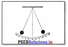 PSEB 7th Class Science Solutions Chapter 13 ਗਤੀ ਅਤੇ ਸਮਾਂ 8