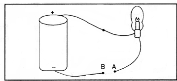 PSEB 7th Class Science Solutions Chapter 14 ਬਿਜਲਈ ਧਾਰਾ ਅਤੇ ਇਸ ਦੇ ਪ੍ਰਭਾਵ ...