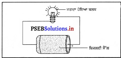 PSEB 7th Class Science Solutions Chapter 14 ਬਿਜਲਈ ਧਾਰਾ ਅਤੇ ਇਸ ਦੇ ਪ੍ਰਭਾਵ ...