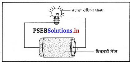 PSEB 7th Class Science Solutions Chapter 14 ਬਿਜਲਈ ਧਾਰਾ ਅਤੇ ਇਸ ਦੇ ਪ੍ਰਭਾਵ 9
