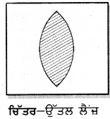 PSEB 7th Class Science Solutions Chapter 15 ਪ੍ਰਕਾਸ਼ – PSEB Solutions