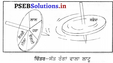 PSEB 7th Class Science Solutions Chapter 15 ਪ੍ਰਕਾਸ਼ – PSEB Solutions