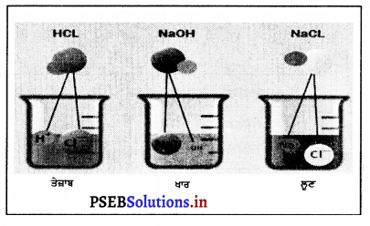 PSEB 7th Class Science Solutions Chapter 5 ਤੇਜ਼ਾਬ, ਖਾਰ ਅਤੇ ਲੂਣ 1