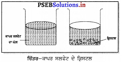 PSEB 7th Class Science Solutions Chapter 6 ਭੌਤਿਕ ਅਤੇ ਰਸਾਇਣਿਕ ਪਰਿਵਰਤਨ 5