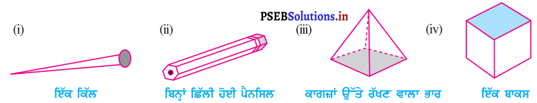 PSEB 8th Class Maths Solutions Chapter 10 ਠੋਸ ਅਕਾਰਾਂ ਦਾ ਚਿਤਰਨ Ex 10.3 1