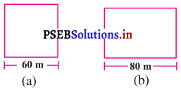 PSEB 8th Class Maths Solutions Chapter 11 ਖੇਤਰਮਿਤੀ Ex 11.1 1