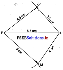 PSEB 8th Class Maths Solutions Chapter 4 ਪ੍ਰਯੋਗਿਕ ਜਿਆਮਿਤੀ Ex 4.1 4