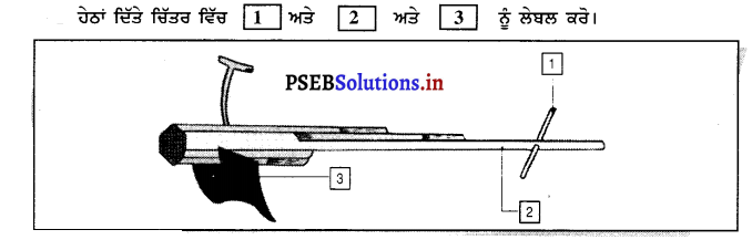 PSEB 8th Class Science Solutions Chapter 1 ਫ਼ਸਲ ਉਤਪਾਦਨ ਅਤੇ ਪ੍ਰਬੰਧਨ 15