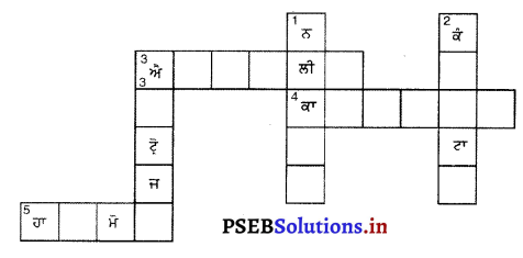 PSEB 8th Class Science Solutions Chapter 10 ਕਿਸ਼ੋਰ ਅਵਸਥਾ ਵੱਲ 3