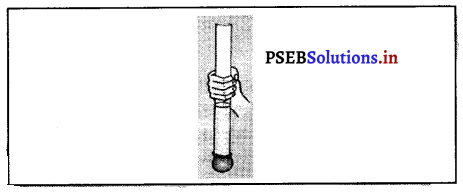 PSEB 8th Class Science Solutions Chapter 11 ਬਲ ਅਤੇ ਦਾਬ 3