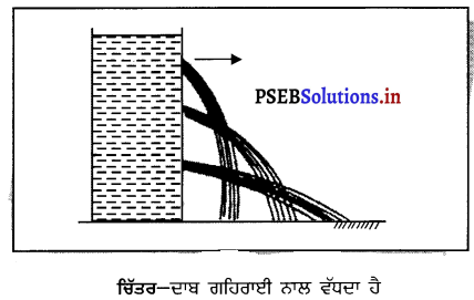 PSEB 8th Class Science Solutions Chapter 11 ਬਲ ਅਤੇ ਦਾਬ 8
