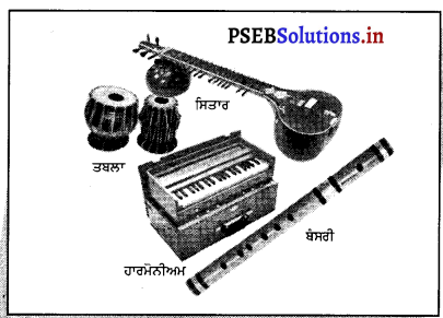 PSEB 8th Class Science Solutions Chapter 13 ਧੁਨੀ 6