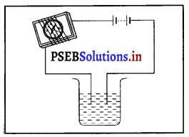 PSEB 8th Class Science Solutions Chapter 14 ਬਿਜਲੀ ਧਾਰਾ ਦੇ ਰਸਾਇਣਿਕ ਪ੍ਰਭਾਵ 1