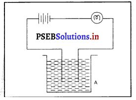 PSEB 8th Class Science Solutions Chapter 14 ਬਿਜਲੀ ਧਾਰਾ ਦੇ ਰਸਾਇਣਿਕ ਪ੍ਰਭਾਵ 2