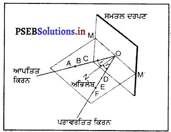 PSEB 8th Class Science Solutions Chapter 16 ਪ੍ਰਕਾਸ਼ 1