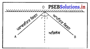 PSEB 8th Class Science Solutions Chapter 16 ਪ੍ਰਕਾਸ਼ 16