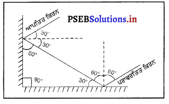 PSEB 8th Class Science Solutions Chapter 16 ਪ੍ਰਕਾਸ਼ 7