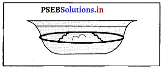PSEB 8th Class Science Solutions Chapter 2 ਸੂਖ਼ਮਜੀਵ-ਮਿੱਤਰ ਅਤੇ ਦੁਸ਼ਮਣ 10