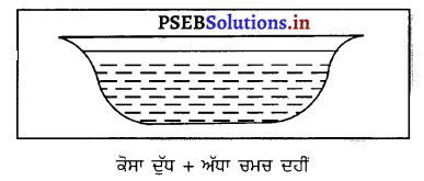 PSEB 8th Class Science Solutions Chapter 2 ਸੂਖ਼ਮਜੀਵ-ਮਿੱਤਰ ਅਤੇ ਦੁਸ਼ਮਣ 5