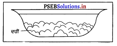 PSEB 8th Class Science Solutions Chapter 2 ਸੂਖ਼ਮਜੀਵ-ਮਿੱਤਰ ਅਤੇ ਦੁਸ਼ਮਣ 6