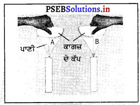 PSEB 8th Class Science Solutions Chapter 6 ਜਾਲਣ ਅਤੇ ਲਾਟ 10