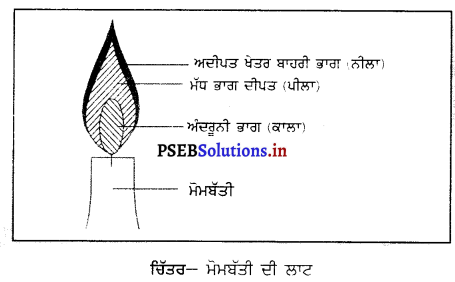 PSEB 8th Class Science Solutions Chapter 6 ਜਾਲਣ ਅਤੇ ਲਾਟ 11