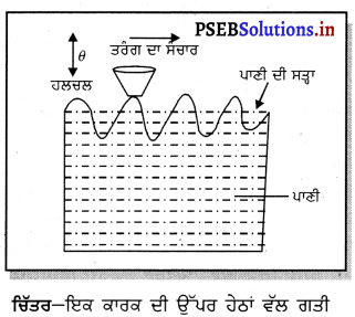 PSEB 9th Class Science Important Questions Chapter 12 ਧੁਨੀ 1