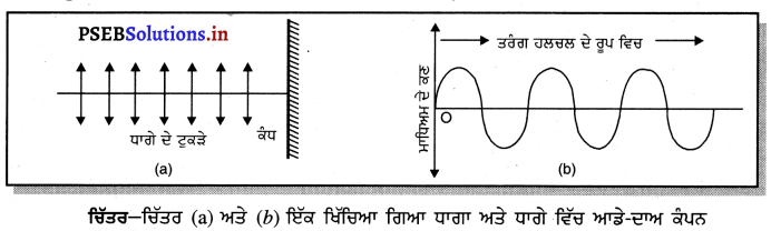 PSEB 9th Class Science Important Questions Chapter 12 ਧੁਨੀ 2