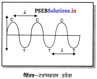 PSEB 9th Class Science Important Questions Chapter 12 ਧੁਨੀ 3