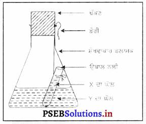PSEB 9th Class Science Important Questions Chapter 3 ਪਰਮਾਣੂ ਅਤੇ ਅਣੂ 1