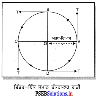 PSEB 9th Class Science Important Questions Chapter 8 ਗਤੀ 13