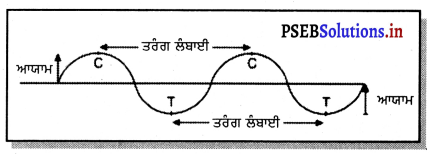 PSEB 9th Class Science Solutions Chapter 12 ਧੁਨੀ 15