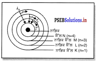 PSEB 9th Class Science Solutions Chapter 4 ਪਰਮਾਣੂ ਦੀ ਬਣਤਰ 6