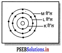 PSEB 9th Class Science Solutions Chapter 4 ਪਰਮਾਣੂ ਦੀ ਬਣਤਰ 22