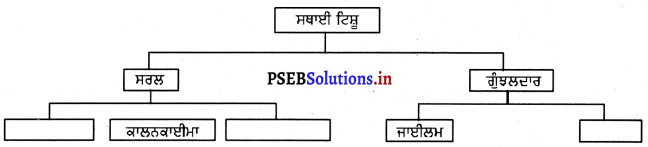 PSEB 9th Class Science Solutions Chapter 6 ਟਿਸ਼ੂ 4