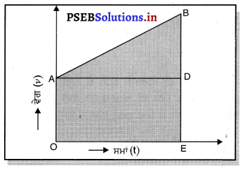 PSEB 9th Class Science Solutions Chapter 8 ਗਤੀ 19