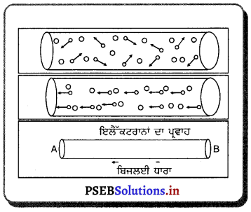 PSEB 10th Class Science Important Questions Chapter 12 ਬਿਜਲੀ 9