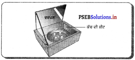 PSEB 10th Class Science Important Questions Chapter 14 ਊਰਜਾ ਦੇ ਸੋਮੇ 11