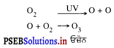 PSEB 10th Class Science Important Questions Chapter 15 ਸਾਡਾ ਵਾਤਾਵਰਨ 4