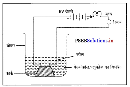 PSEB 10th Class Science Solutions Chapter 2 अम्ल, क्षारक एवं लवण – PSEB ...